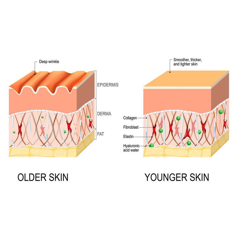 Anti-wrinkle Fine Line-fading Lifting