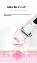 Ultrasonic Skin Cleaner